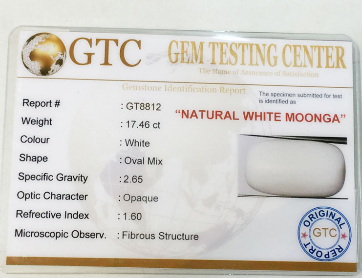 19.40 ratti/17.46 ct Natural Certified  White Coral/सफ़ेद मूंगा